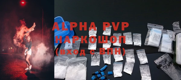 сатива Арсеньев