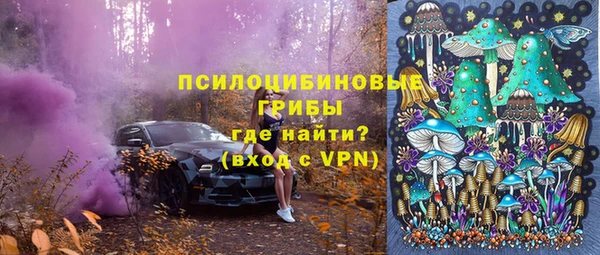 сатива Арсеньев