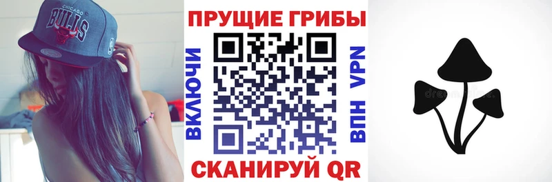 Галлюциногенные грибы мицелий  Севск 
